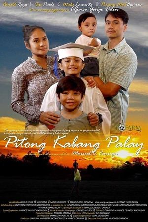 Pitong kabang palay's poster