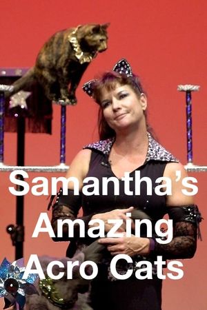 Samantha’s Amazing Acrocats's poster image