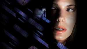 The Net's poster
