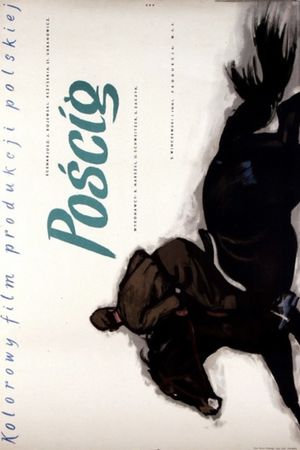 Poscig's poster