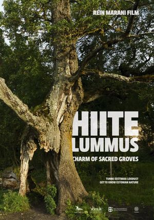 Hiite lummus's poster