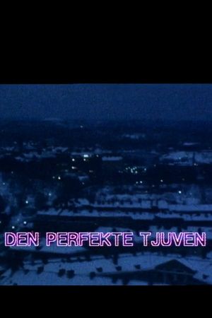Den perfekte tjuven's poster image