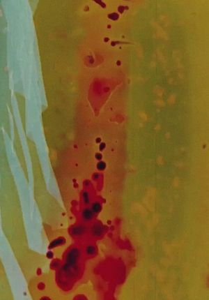 Remains's poster
