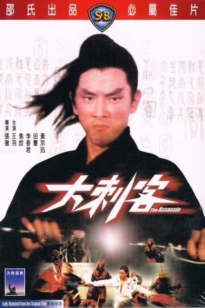 The Assassin's poster
