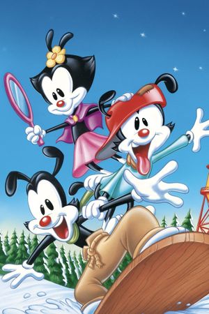 Animaniacs: Wakko's Wish's poster