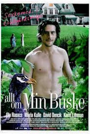 All About My Bush's poster