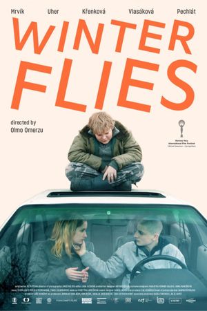 Winter Flies's poster