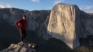 Free Solo's poster