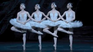 Swan Lake's poster