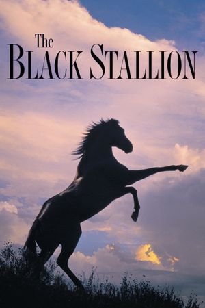 The Black Stallion's poster image
