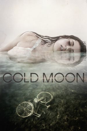 Cold Moon's poster
