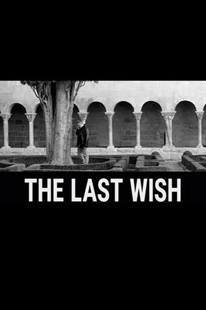 The Last Wish's poster