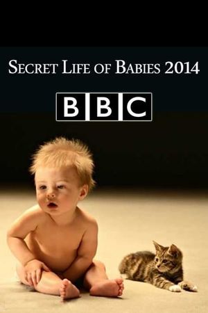 Secret Life of Babies's poster