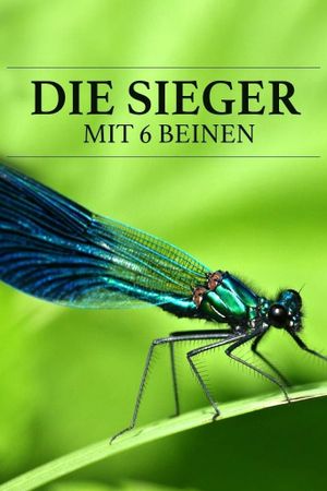 Die Sieger mit 6 Beinen's poster