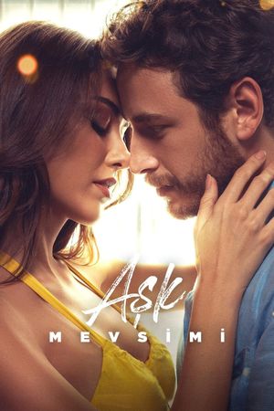 Season of Love's poster