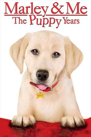 Marley & Me: The Puppy Years's poster