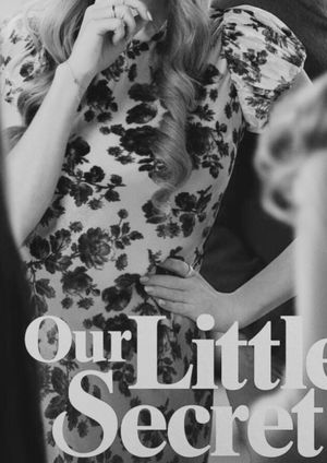 Our Little Secret's poster
