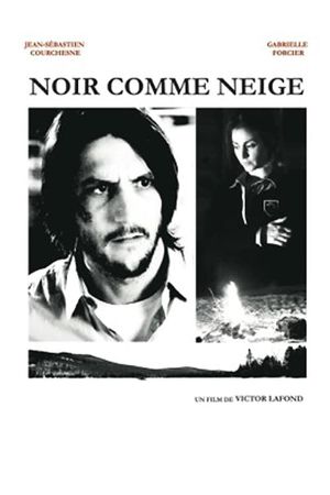 Noir comme neige's poster