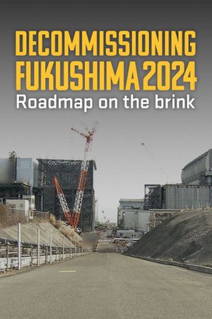 Decommissioning Fukushima 2024: Roadmap on the Brink's poster