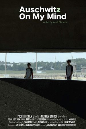 Auschwitz on My Mind's poster
