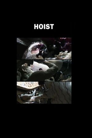 Hoist's poster