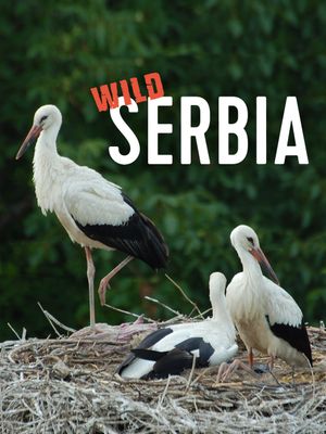 Wild Serbia's poster