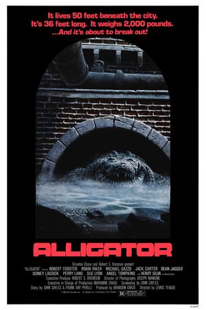 Alligator's poster