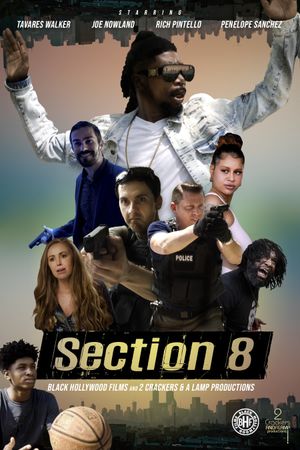 Section 8's poster image