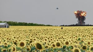 As the Sunflower Whispers's poster