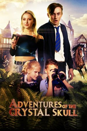 Adventures of the Crystal Skull's poster