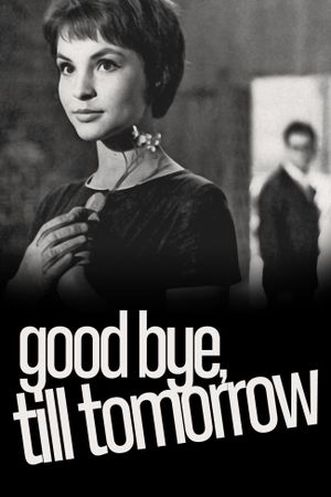 Goodbye, See You Tomorrow's poster image