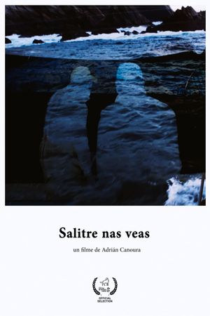 Salitre nas veas's poster