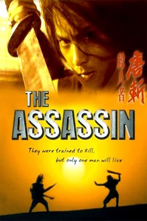 The Assassin's poster image