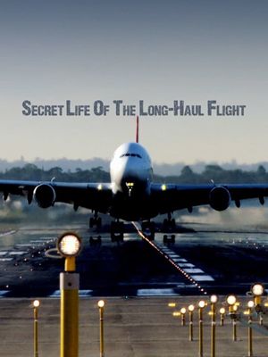 Secret Life of the Long Haul Flight's poster