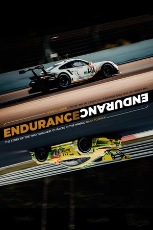 Endurance's poster