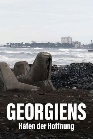 Géorgie - Le port de tous les enjeux's poster