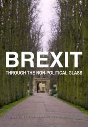 Brexit Through the Non-Political Glass's poster