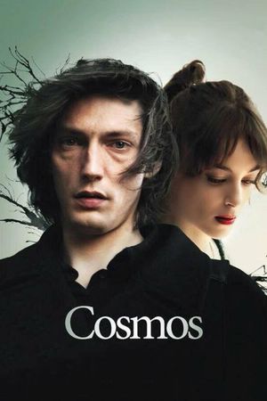 Cosmos's poster