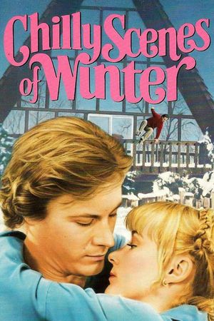 Chilly Scenes of Winter's poster
