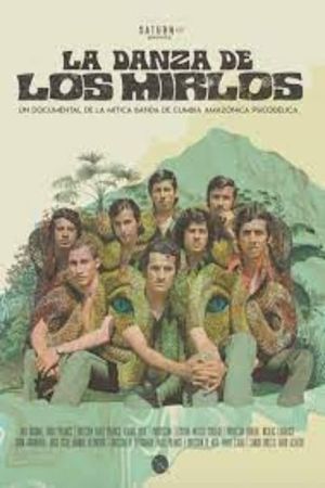 La danza de los Mirlos's poster