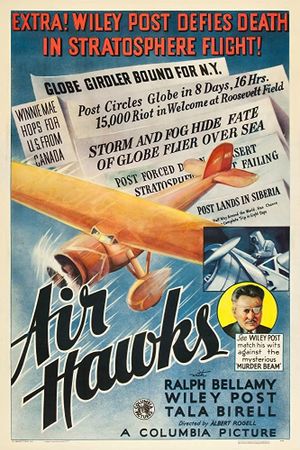 Air Hawks's poster