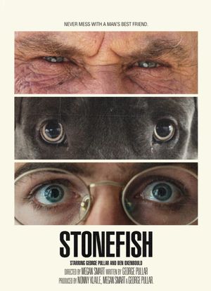 Stonefish's poster