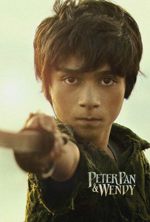 Peter Pan & Wendy's poster