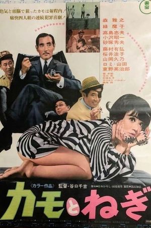 Kamo to negi's poster
