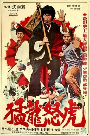 Bruce and the Dragon Fist's poster