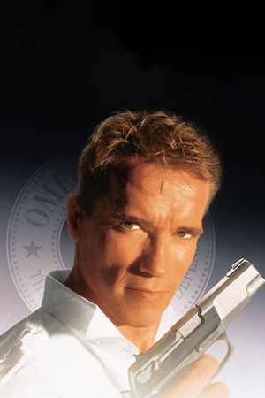True Lies's poster