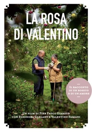 La rosa di Valentino's poster