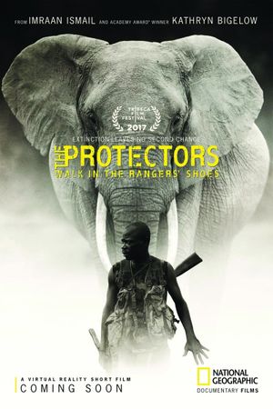 The Protectors's poster