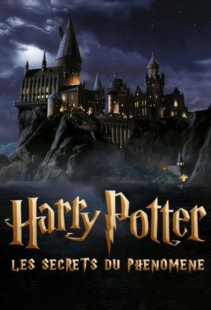 Harry Potter : les secrets du phénomène's poster