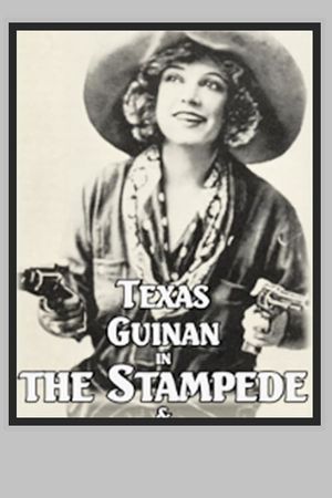 The Stampede's poster